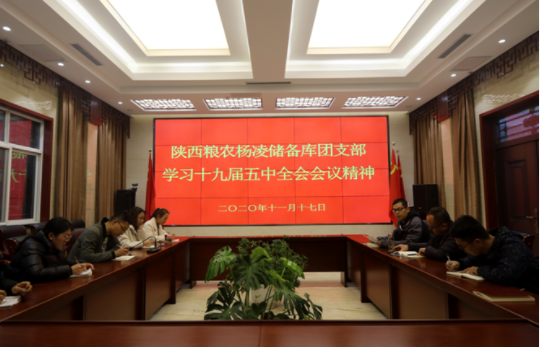 儲備糧管理集團：各團支部掀起集中學習十九屆五中全會精神熱潮