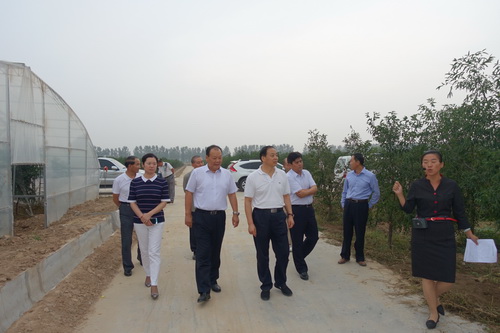 渭南市現代農業投資發展有限公司擬到農墾集團朝邑農場投資合作
