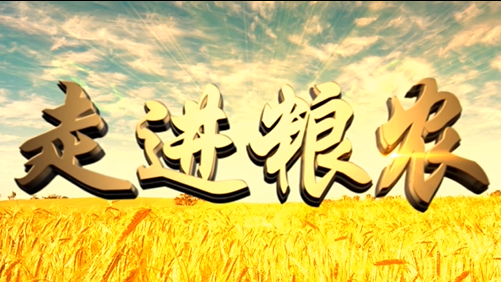 4分鐘，閱讀奮斗崛起中的糧農(nóng)集團(tuán)！