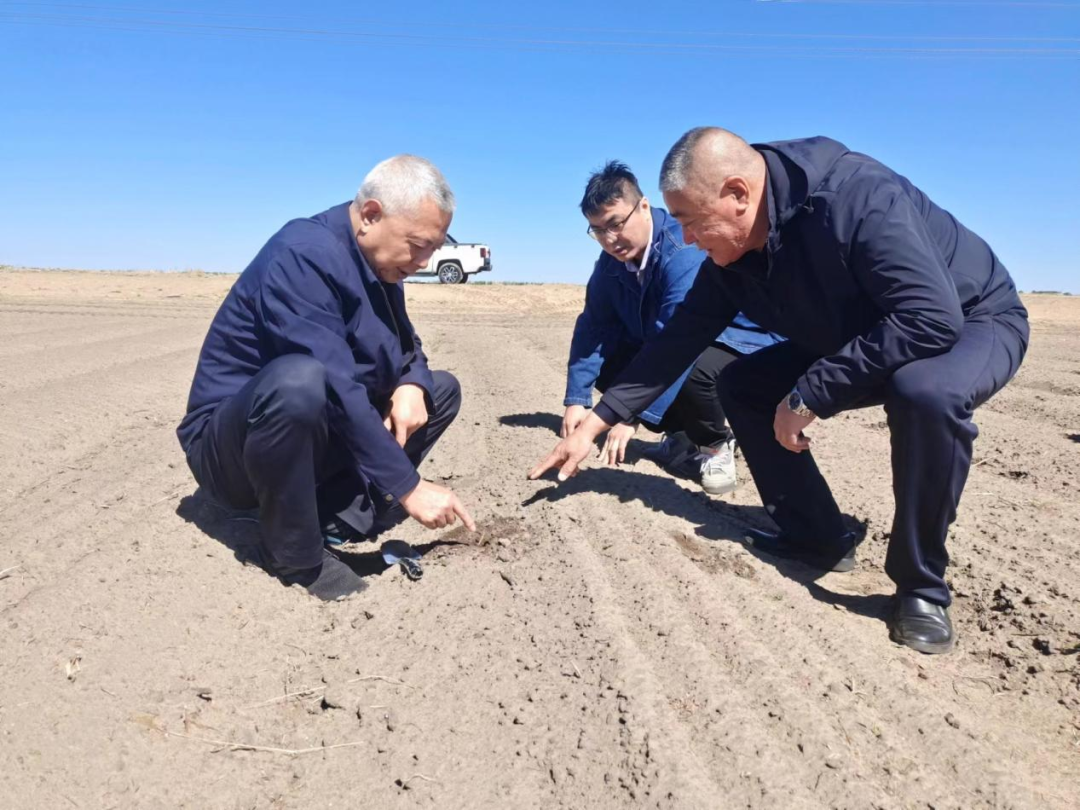 周小林調研穩增長及安全生產等工作