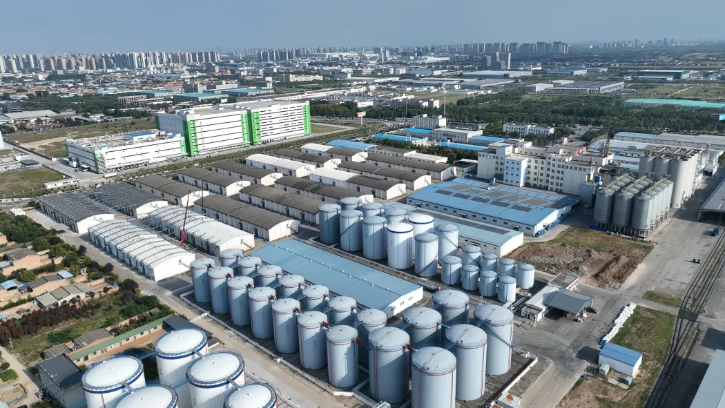 中國網:陜西優質糧油產品在這里“煉成”