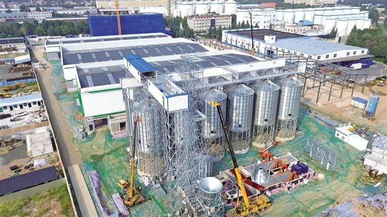 陜西省農作物種子繁育加工基地：助力楊凌加快建設旱區“種業硅谷”