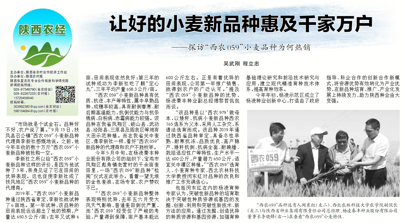 陜西農村報：讓好的小麥新品種惠及千家萬戶
