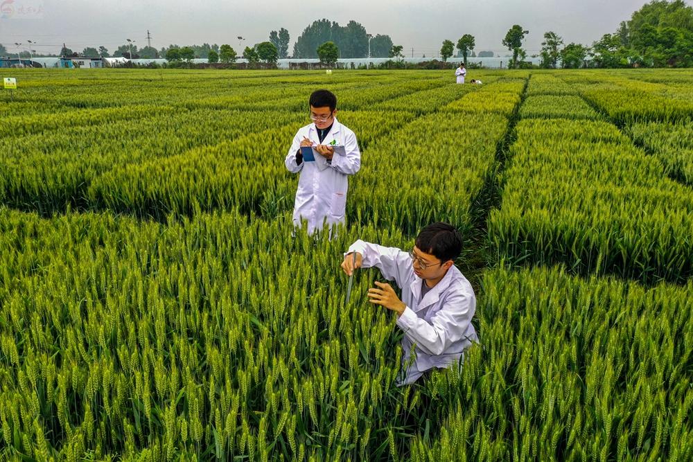 群眾新聞網：秦豐種業厚植愛農情懷 助力種業振興
