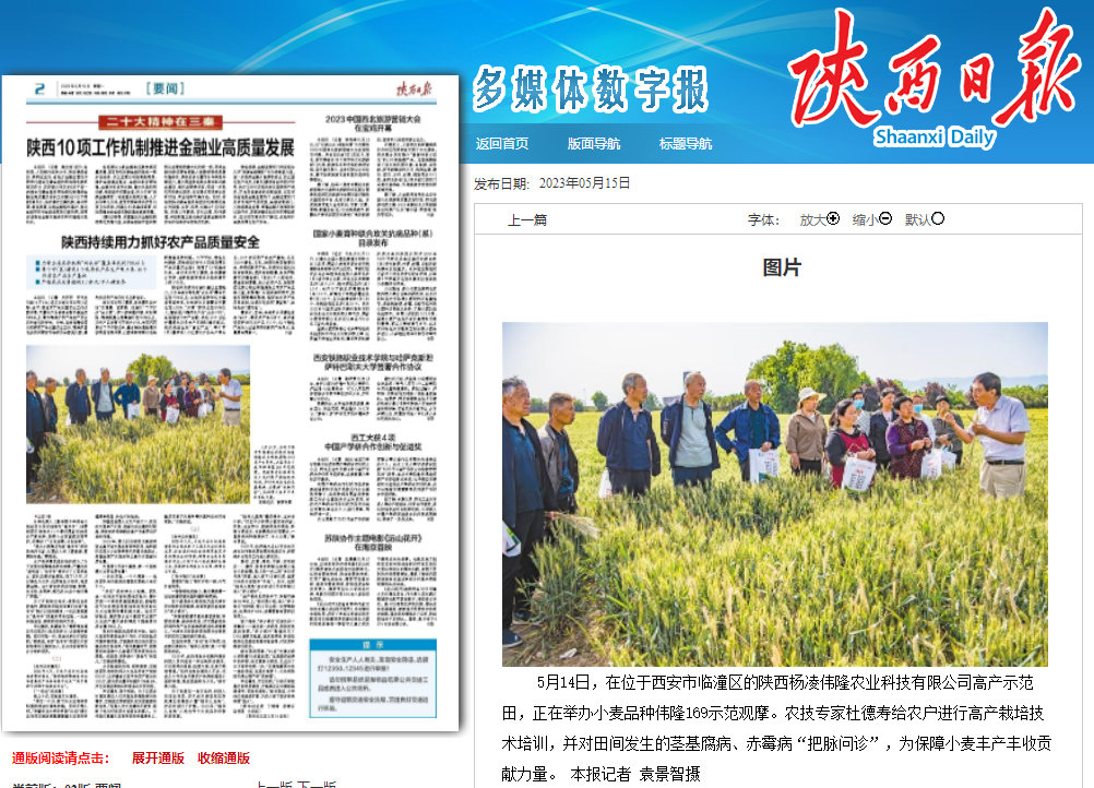 陜西日報：農技人員田間地頭“把脈問診”護航小麥豐產豐收