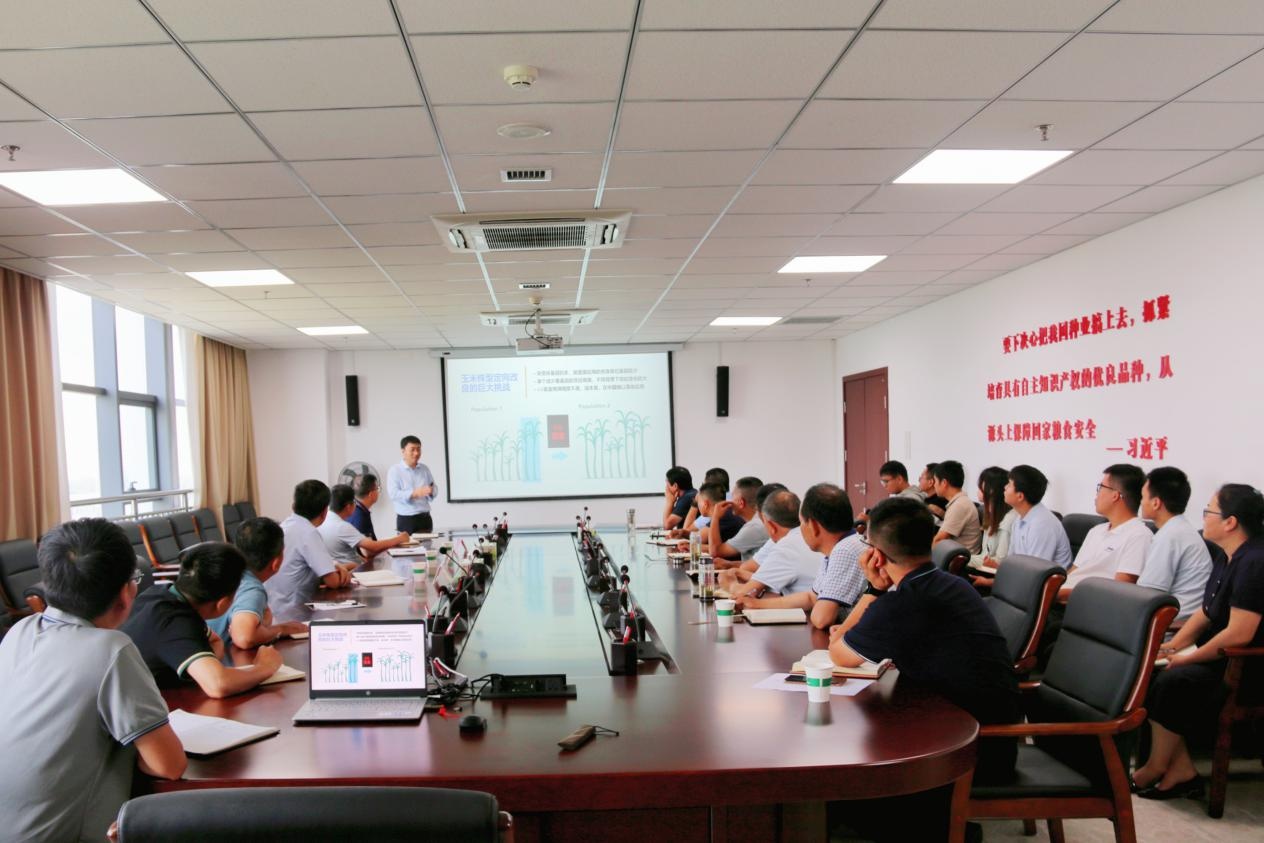 秦豐種業：舉辦玉米精準智能設計育種體系 CornGPT專題培訓會議