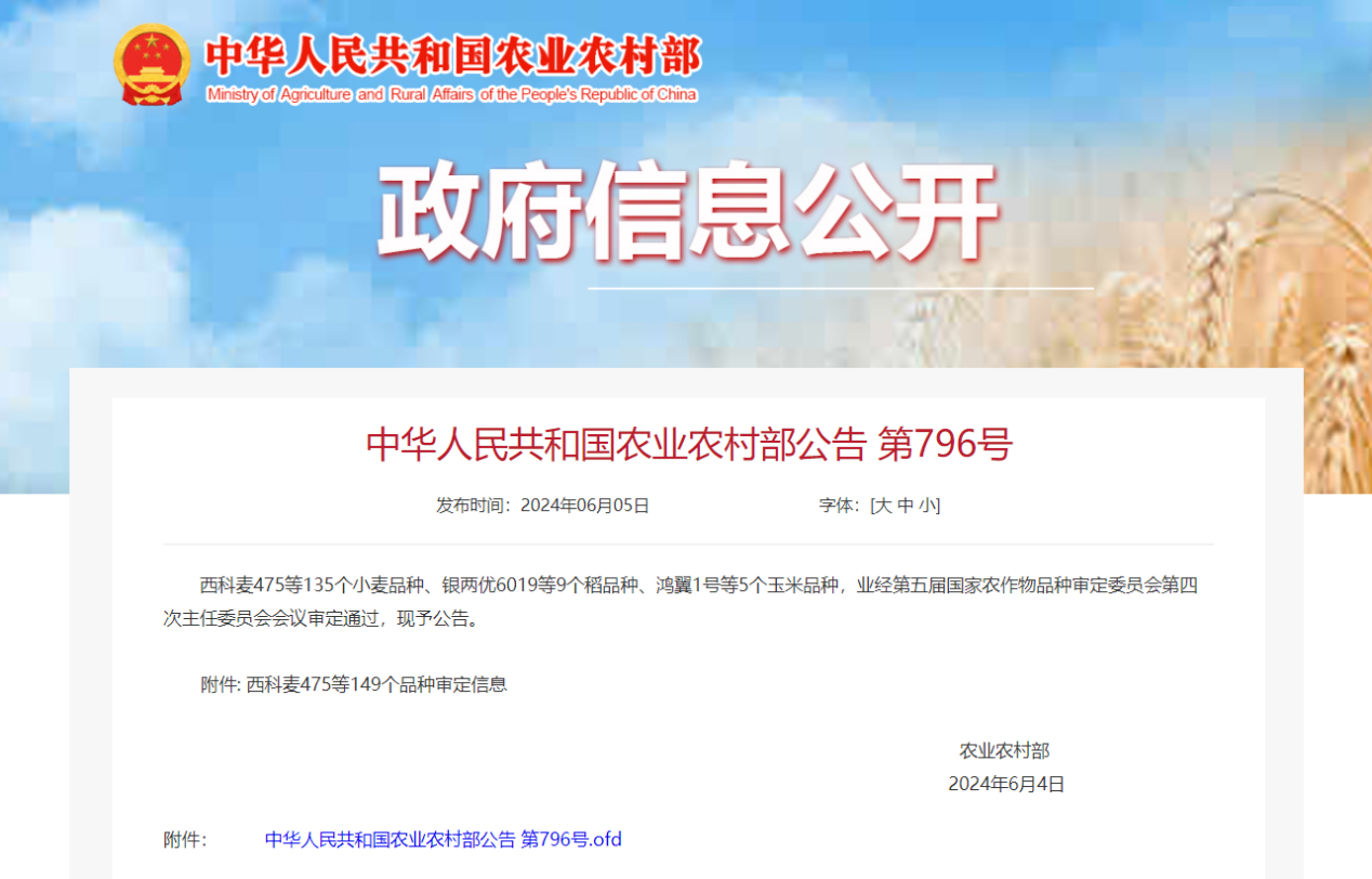 秦豐種業(yè)：優(yōu)質(zhì)小麥新品種“偉隆302”通過(guò)國(guó)家審定