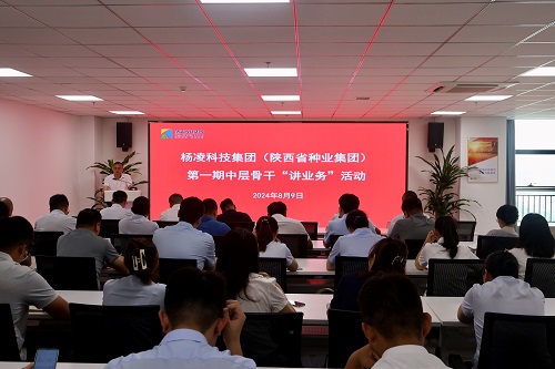 楊凌科技集團：開展第一期中層骨干“講業務”活動
