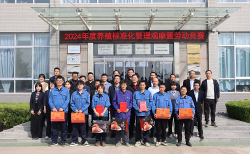 秦寶牧業：標準化觀摩+勞動競賽 展青年員工風采擔當
